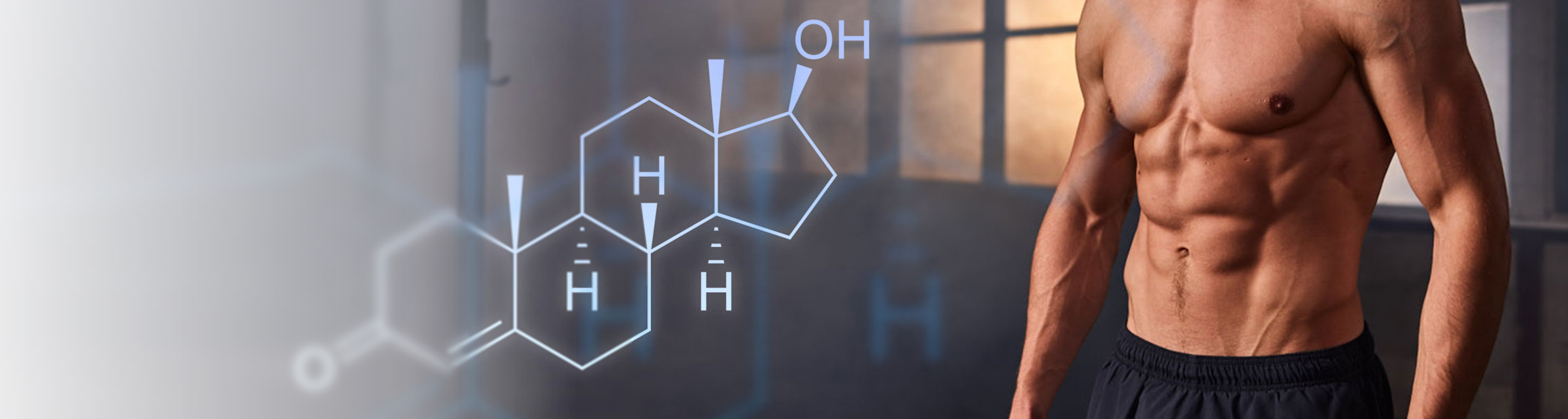 Illustration combining a testosterone molecule and a muscular torso